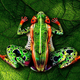 Illustration for article titled This chameleon is actually an amazing bodypainting
